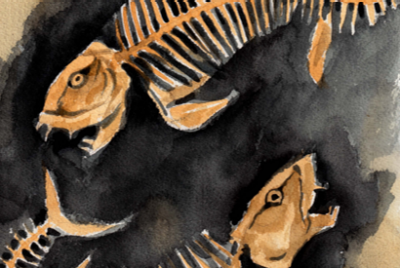 a watercolor illustration of fish skeletons swirling around each other