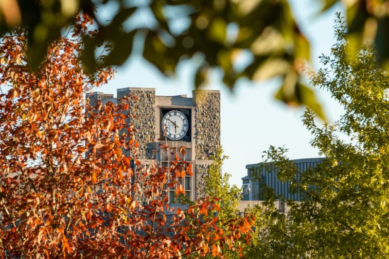 view of Holtzman clock tower through the fall leaves at sunset