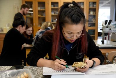female students looks down at paper while holding a small skull and takes notes.