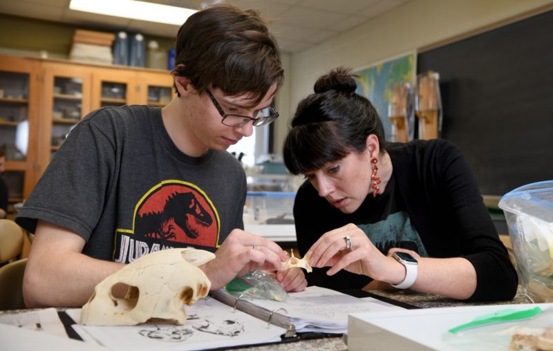 male student looks at bones with Stocker, professor of geosciences