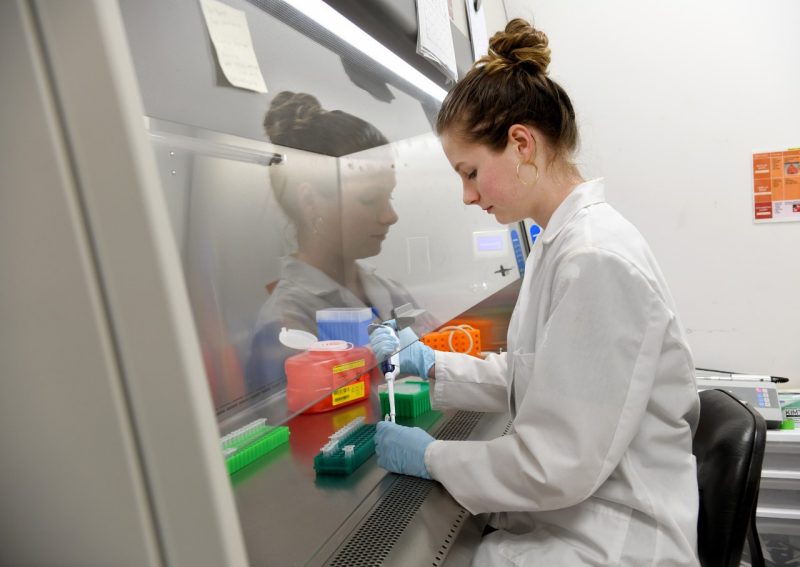 Female researcher sits at lab hood and pipettes into tubes on a rack.