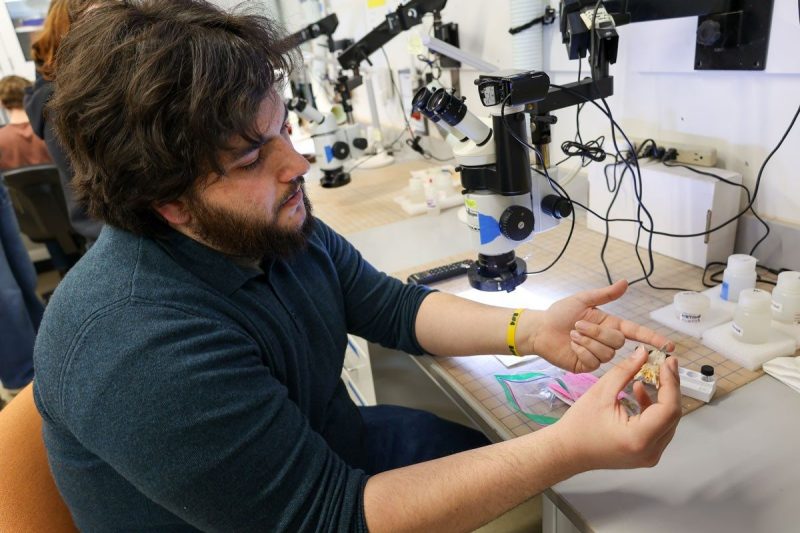 Neuroscience student founds Kids Can Write adult and child looking at laptops in a library.