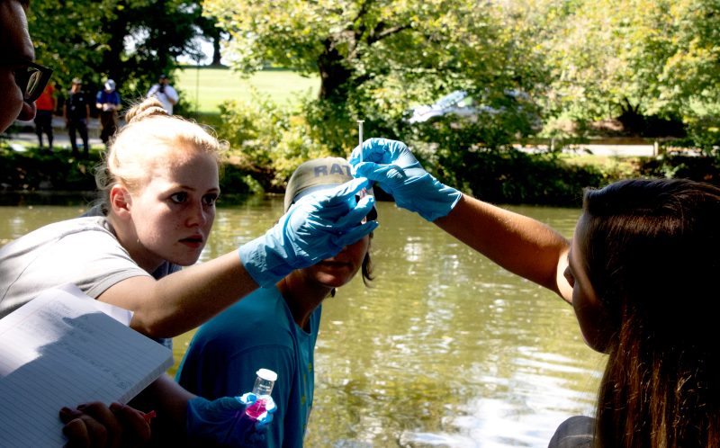 female students look at water samples next to the duck pond