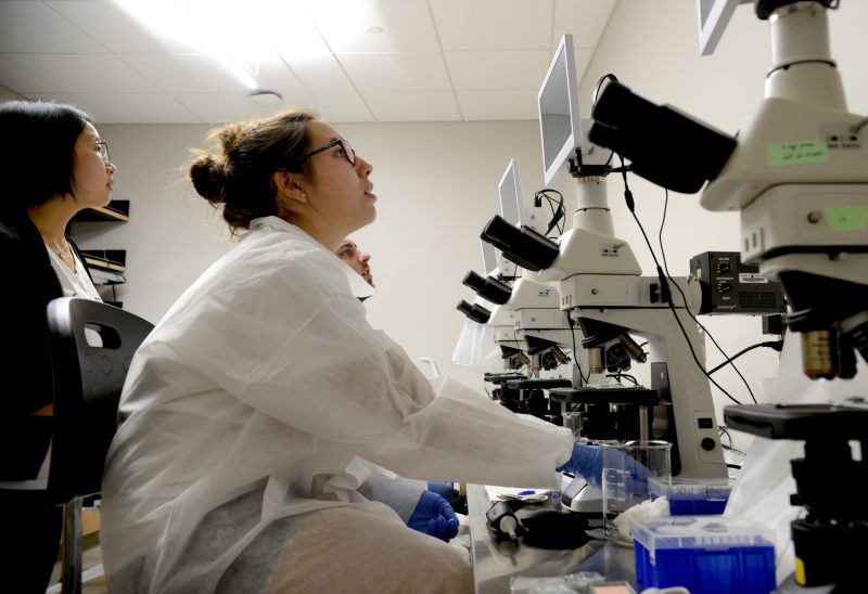 girl in foregroung looks up a screen connected to microscope with female instructor in background watching