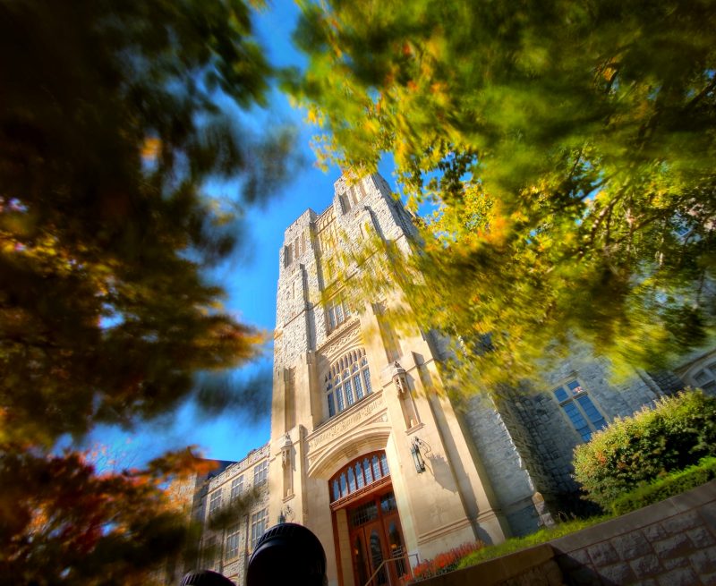 worms-eye view of sunny Burruss Hall through trees