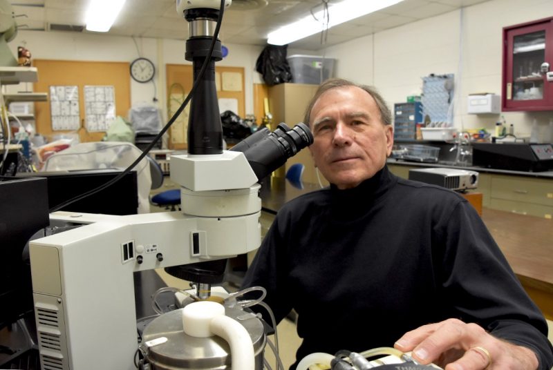 Bob Bodnar at microscope