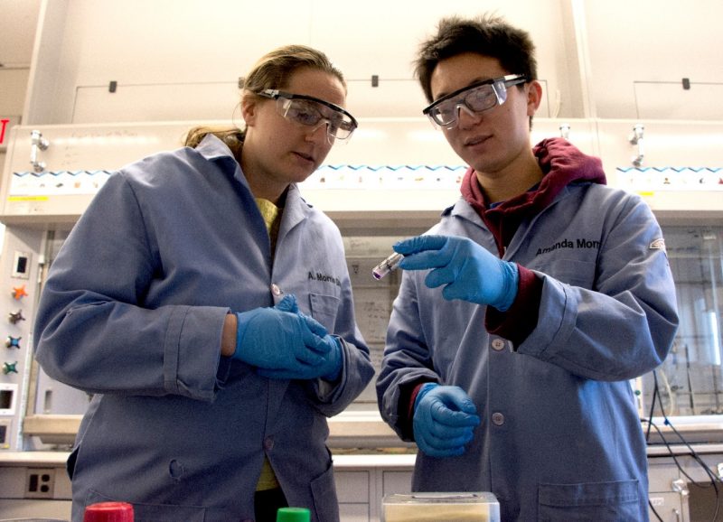 Amanda Morris and Jie Zhu in lab