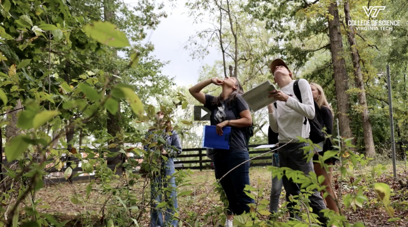 a professor and students are in the woods looking up at trees
