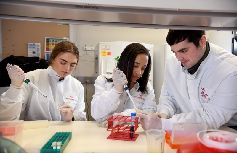 3 students sit at lab bench pipetting into vials